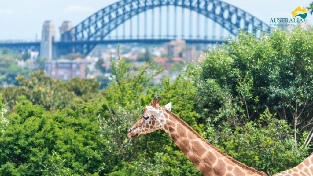 Taronga Park Zoo